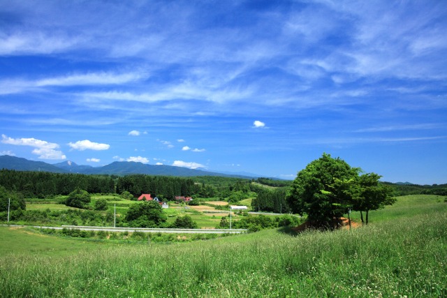 牧場からの風景