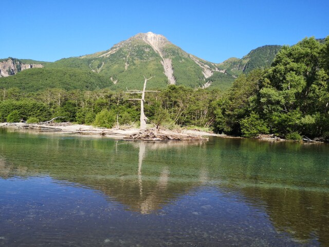 夏の大正池