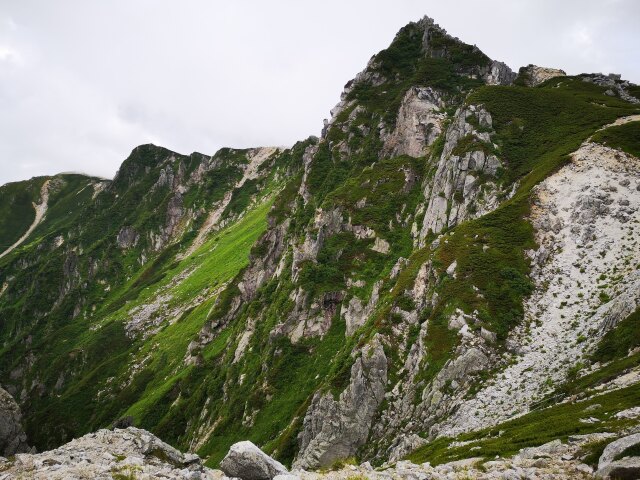 夏の駒ヶ岳