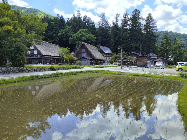 夏の白川郷