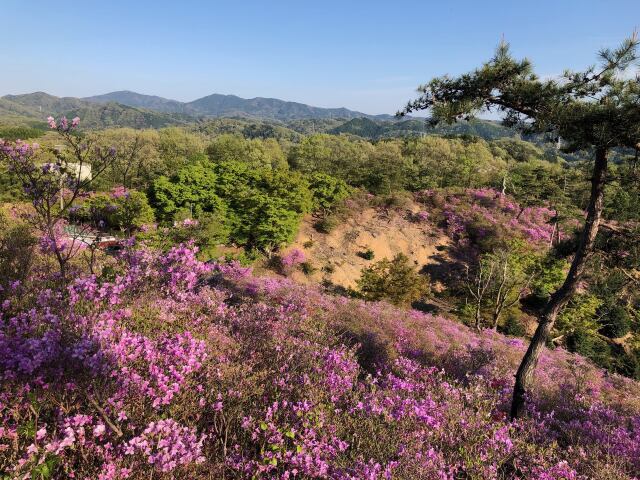 鞍ケ池にて