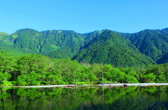 夏の大正池