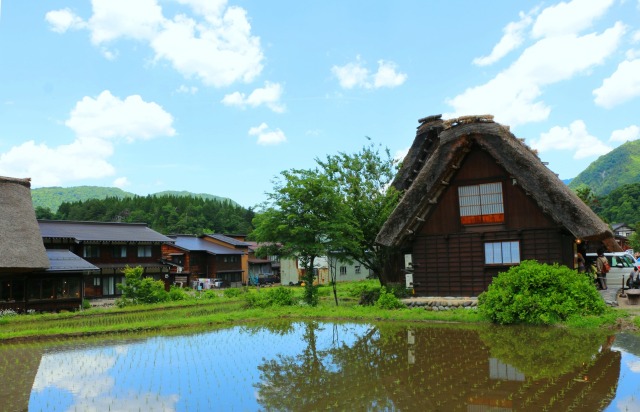 夏の白川郷