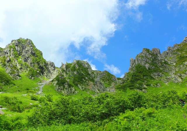 夏の千畳敷カール