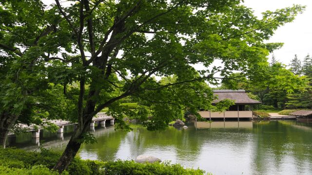 初夏の昭和記念公園