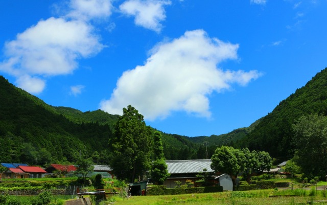 夏の里山