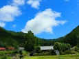 夏の里山