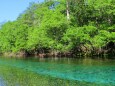 夏の水辺