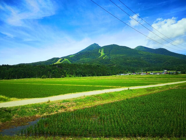 夏の表磐梯