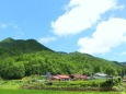 夏の里山