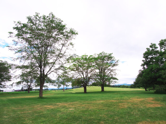 北海道ガーデン