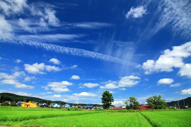 夏空