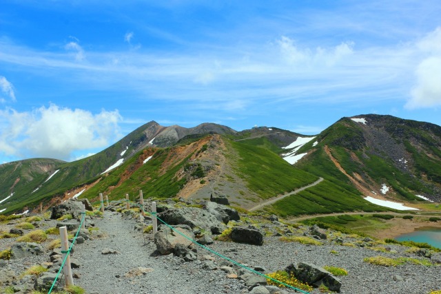 夏の乗鞍岳