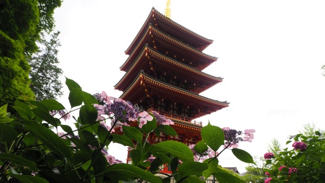 初夏の高幡不動尊