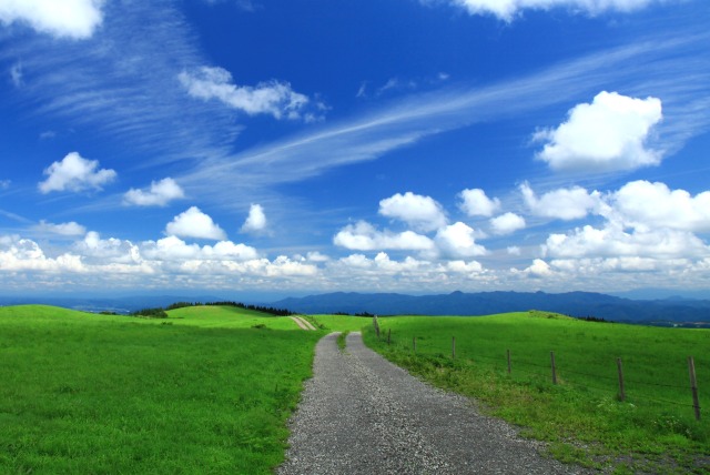 牧場の一本道