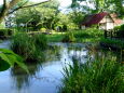 梅雨明けを思わせる公園風景