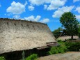 夏の白川郷