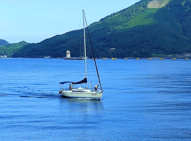 夏の海