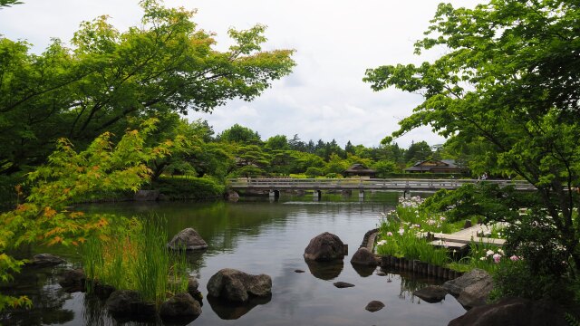 初夏の昭和記念公園