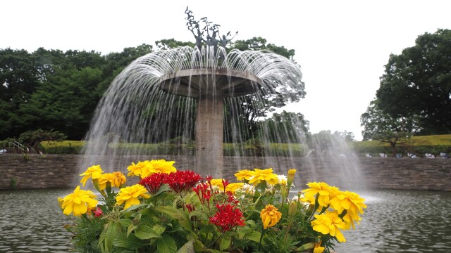 初夏の昭和記念公園