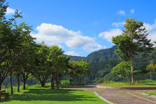 夏の午後 公園