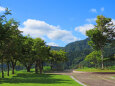 夏の午後 公園