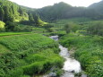 棚田を潤して流れ来る小川