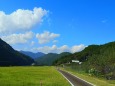 夏の里山