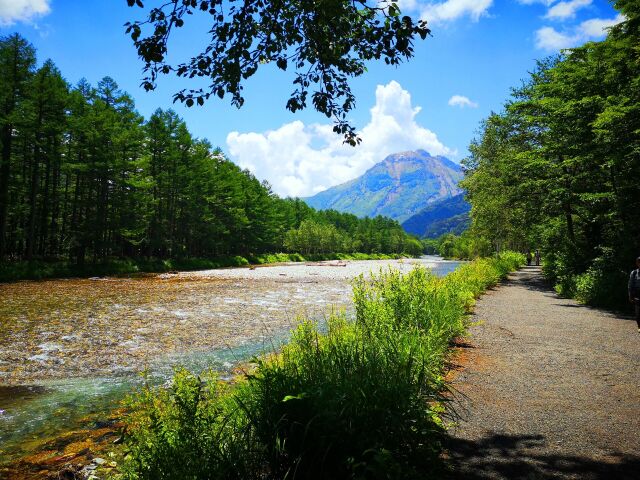 7月の焼岳