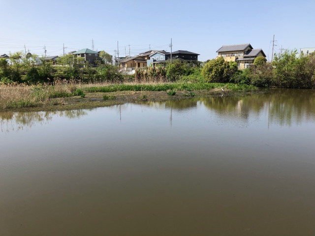 みよしの小池