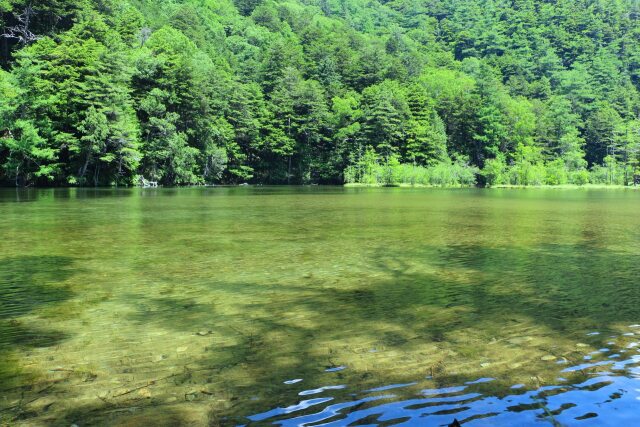 夏の明神池