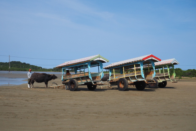 由布島の水牛車