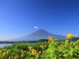 夏の富士山