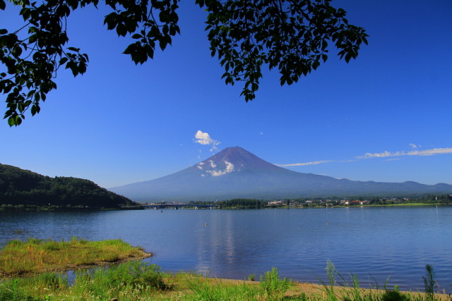 夏の河口湖