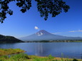 夏の河口湖