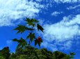 梅雨明けの夏空