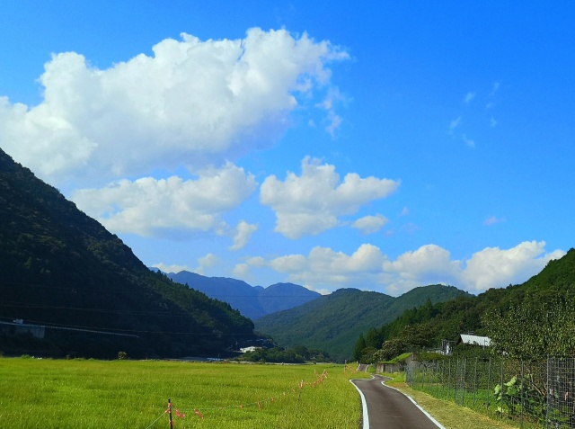 夏の里山