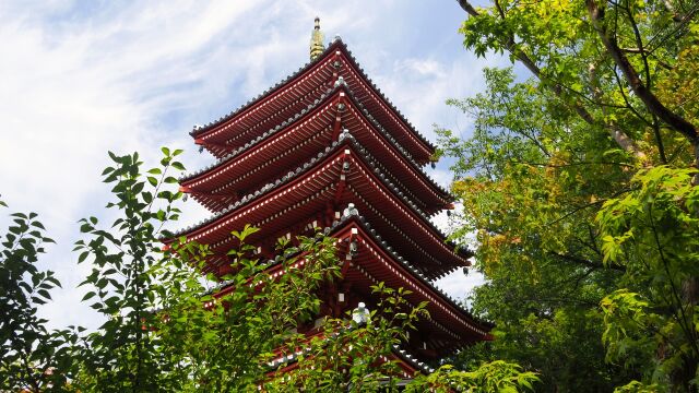 夏の本土寺