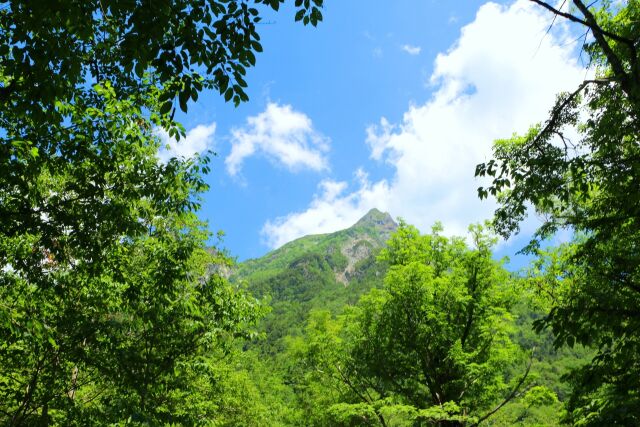 夏の明神岳