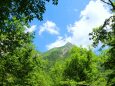 夏の明神岳