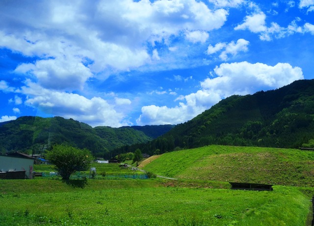 夏の里山