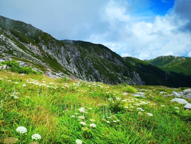 夏の駒ヶ岳