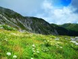 夏の駒ヶ岳