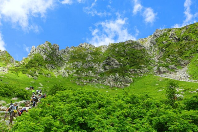 夏の駒ヶ岳登山道