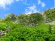 夏の駒ヶ岳登山道