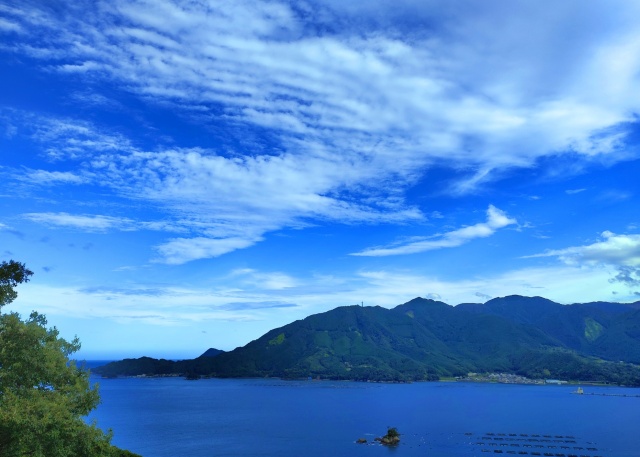 夏の海