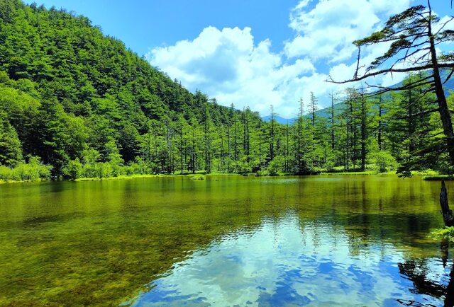 夏の明神池