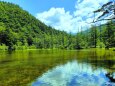 夏の明神池