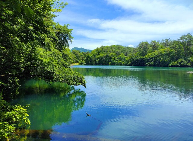 夏の毘沙門沼