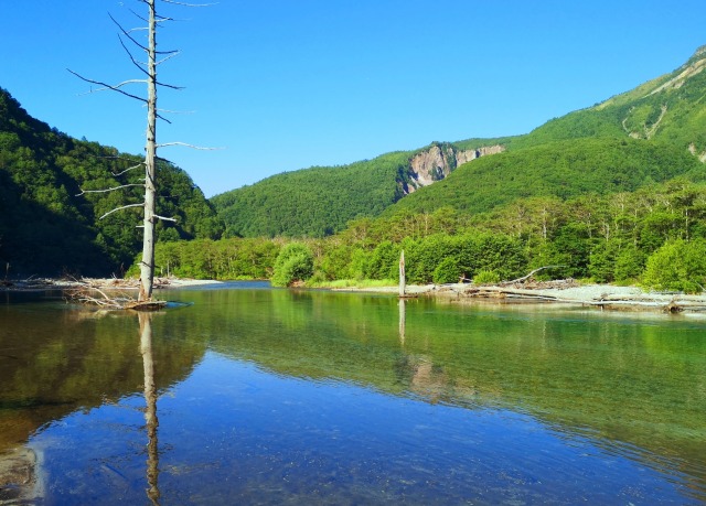 夏の大正池